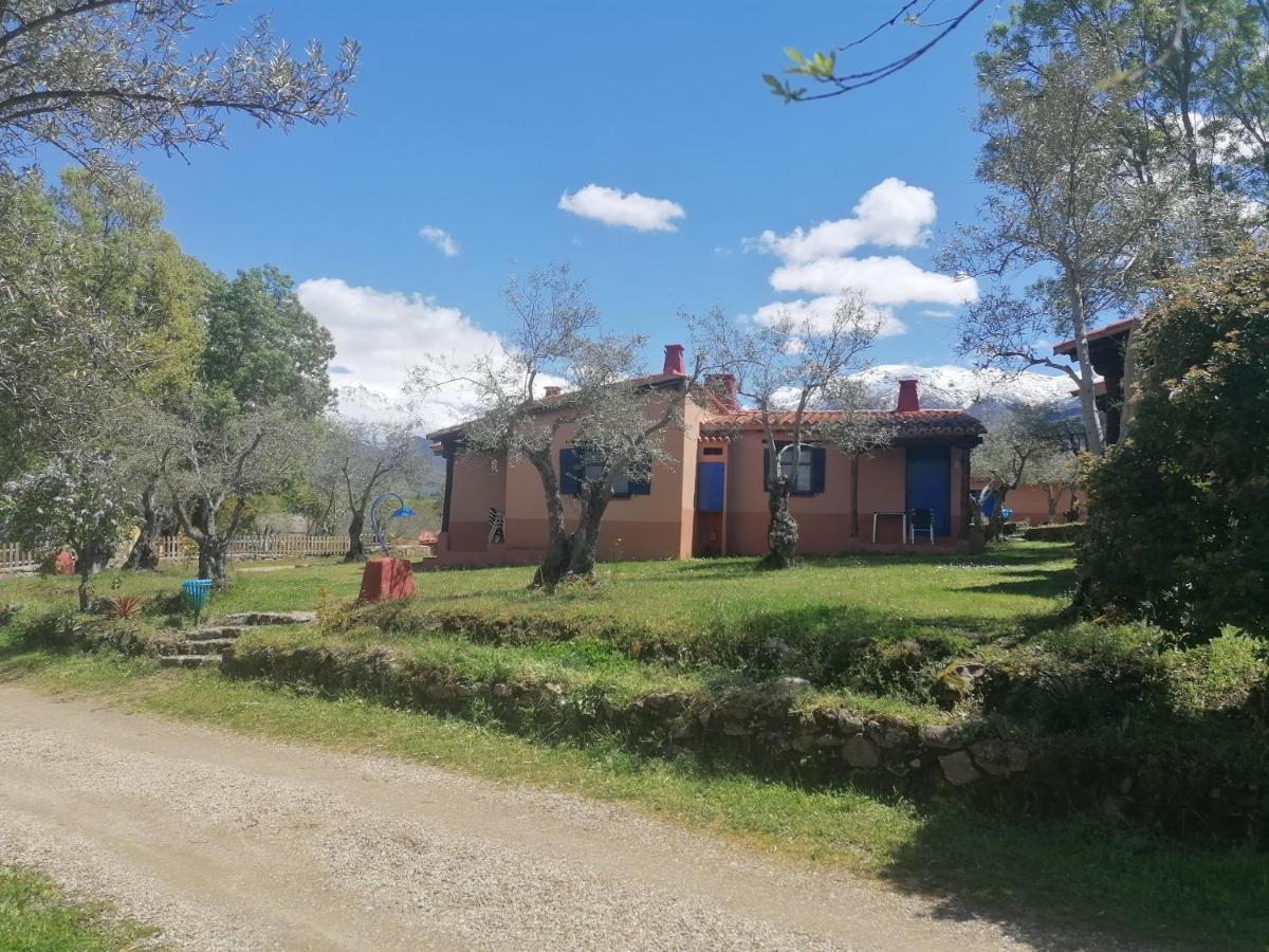 Resort Vacacional Aldea Vetonia En Hervas" Ideal Parejas Y Familias" Chquipark, Zonas Deportivas Bar Restaurante Y Actividades Diarias Zonas Infantiles Piscinas -No Se Admiten Mascotas Julio Y Agosto- Exterior photo